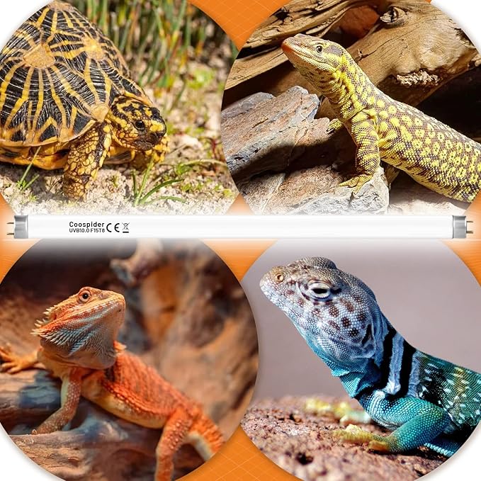 Hypool 2 Pack T8 Strip UVA UVB Reptile Lighting Bulb 18-Inch 15 Watt UVB 10.0 Fluorescent Bulb 10-Percent UVB Desert Pet Habitat Light for Reptiles Amphibian Hypool