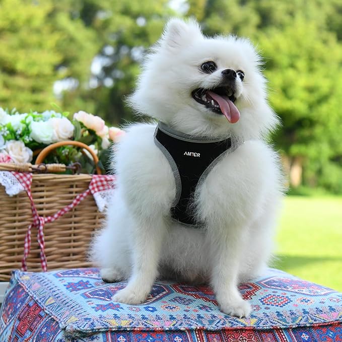 AMTOR Small Dog Harness with Leash Set, No Escape Easy Walk Puppy Harnesses for Training Walking, Step-in Reflective Soft Dogs Vest for XS S Medium Extra-Small Large Sized Dog(Black/Grey) AMTOR