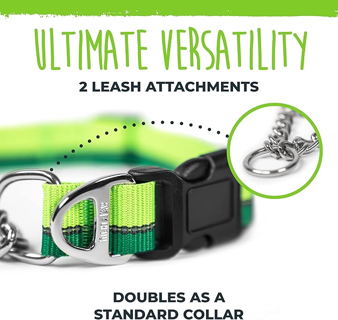 Mighty Paw Martingale Dog Collar 2.0 | Trainer Approved Limited Slip Collar with Stainless Steel Chain & Heavy Duty Buckle - Modified Cinch for Gentle & Effective Pet Training - S/M, Green MightyPaw