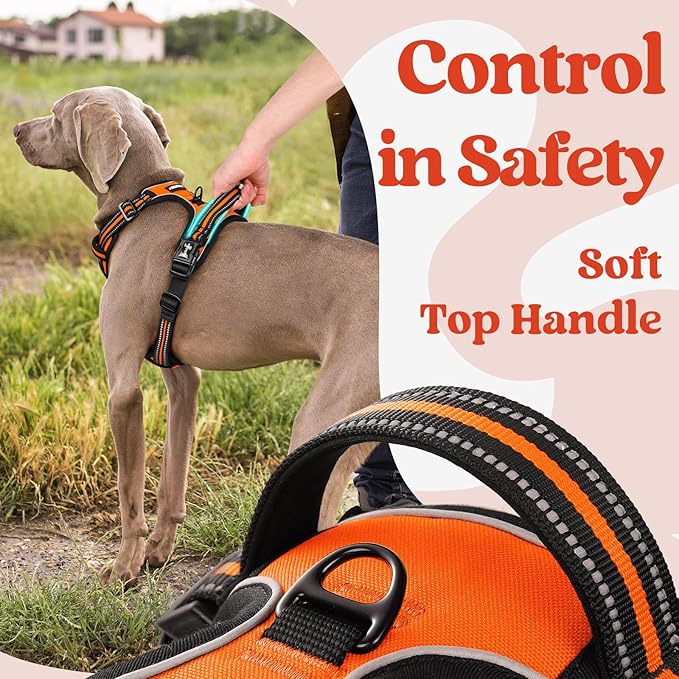 rabbitgoo Dog Harness for Large, No Pull Pet Harness with 3 Buckles, Adjustable Soft Padded Pooch Vest with Instant Control Handle, Easy Walking Reflective Pet Vest for Extra Large Dogs, Orange, XL rabbitgoo