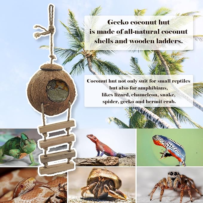 5PCS Coconut Hut for Gecko, Lizard Coco Den with Ladder and Reptile Hammock Bearded Dragon Tank Accessories Climbing Hanging Plants Jungle Vine Flexible Reptile Leaves Decor MUYG