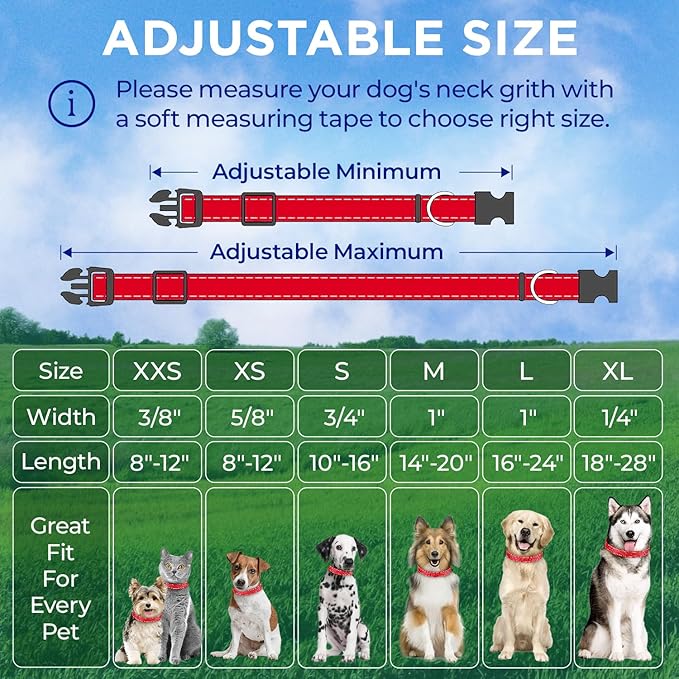 TECEUM Reflective Pet Collar – Red – XL – Basic Nylon Dog Collar – Quick Release Buckle – Fits Small, Medium and Large Dogs, Puppies, Cats – ESA & Service Dog Options TECEUM