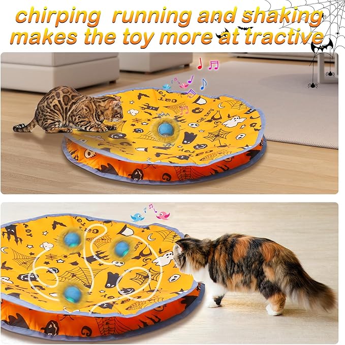 Interactive Cat Toys Ball Rolling in The Pouch, Chirping & Motion Activated Interactive Cat Ball Toy Begins Hide and Seek Game in Mat, Rechargeable Cat Exercise Toy - PAWPICO