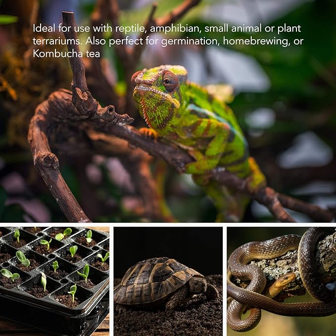 BN-LINK Reptile Heating Pad Electric Indoor Under Tank Terrarium Heating Mat Waterproof for Turtles, Lizards, Frogs, and Other Reptiles, 8" X 12" BN-LINK