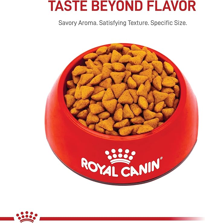 Royal Canin Indoor Adult Dry Cat Food, 15 lb bag - PAWPICO