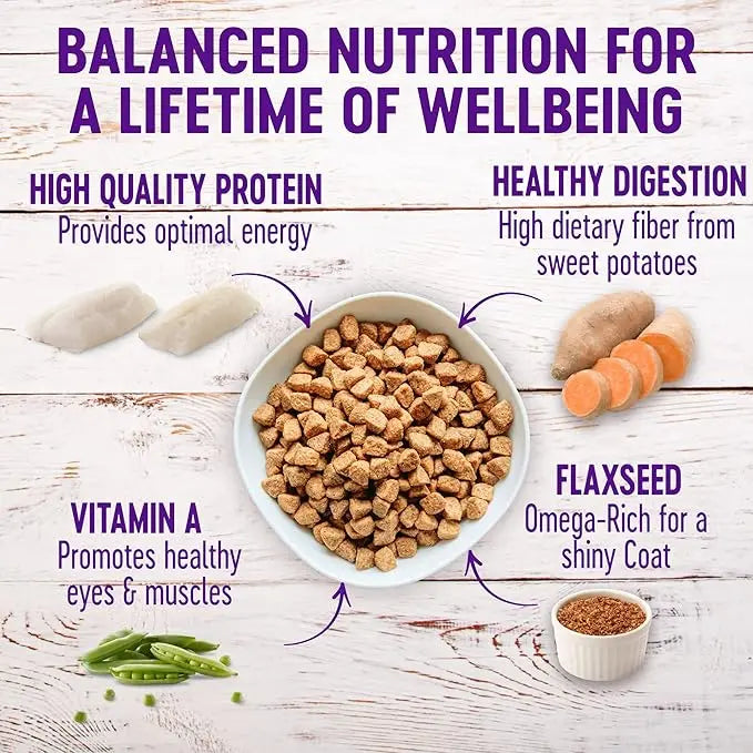 Wellness Complete Health Dry Dog Food with Grains, Made in USA with Real Meat & Natural Ingredients, All Breeds, Adult Dogs (Whitefish, 30-lb) – With Nutrients for Immune, Skin, & Coat Support - PAWPICO