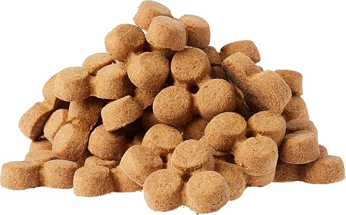 Amazon Brand - Wag Expedition Human Grade Organic Biscuits Dog Treats, Non-GMO, Gluten Free, Banana & Coconut, 10oz (Pack of 2) - PAWPICO