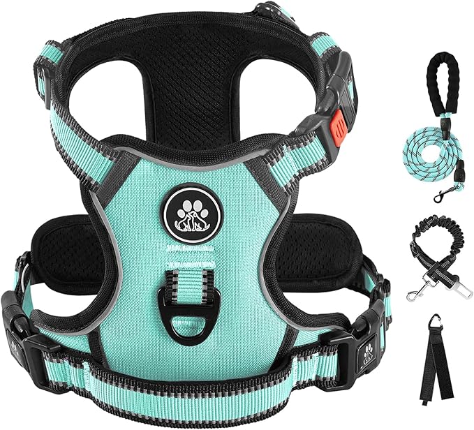 IVY&LANE No Pull Dog Harness with Leash Set, Reflective No Choke Pet Vest,Adjustable Oxford Dog Vest Harness with Easy Control Handle for Large Dogs (Turquoise,XL) IVYLANE