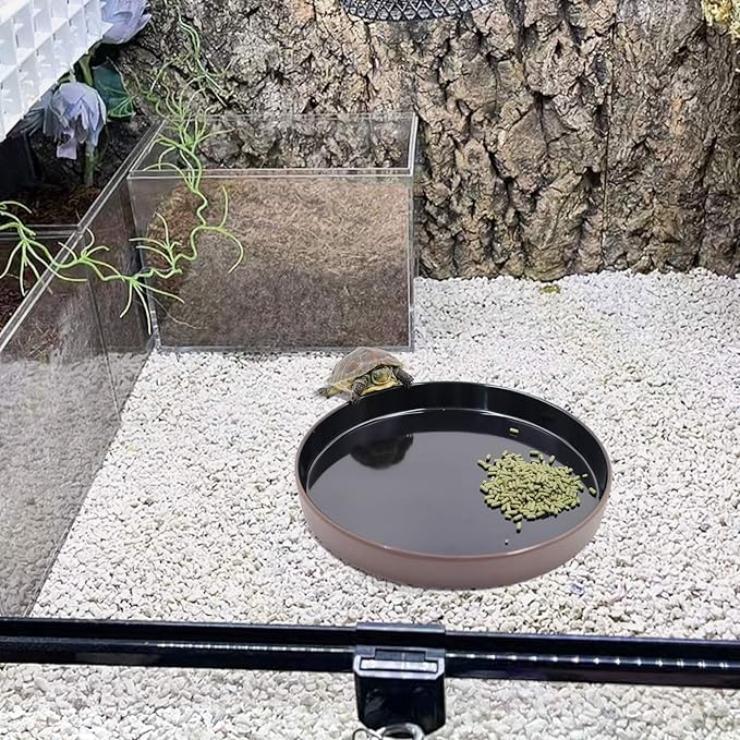 Reptile Feeder Kit, Food Water Bowl, Plastic Round Tortoise Feeding Dish, Amphibian Feeding Bowl, Tank Terrarium Accessories for Bearded Dragon Snake Hermit Crab Turtle Lizard Chameleon - 8 × 8 × 1" Neeenn