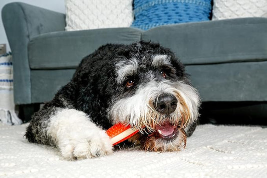 Hartz Chew 'n Clean Tuff Bone Bacon Scented Dental Dog Chew Toy - Large - PAWPICO