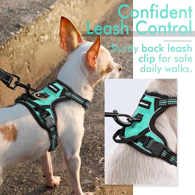 rabbitgoo Dog Harness, No-Pull Pet Harness with 2 Leash Clips, Adjustable Soft Padded Dog Vest, Reflective No-Choke Pet Oxford Vest with Easy Control Handle for Small Dogs, Turquoise, XS - PAWPICO