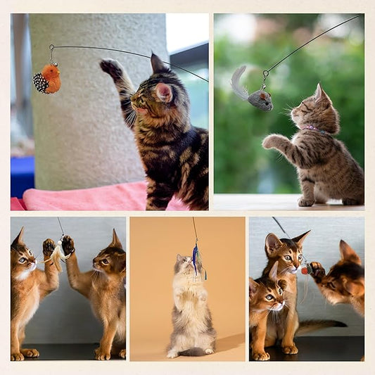 Interactive Play Set - Set of 5 Replacement Toys: Mouse, Duck, Feathers, Balls & Worm Heads - Engaging Cat Toys with Realistic Designs for Endless Fun - PAWPICO