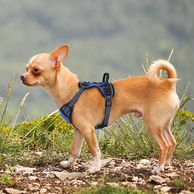 rabbitgoo Dog Harness No Pull with 2 Leash Clips, Adjustable Soft Padded, Reflective Oxford No Choke Pet Vest with Easy Control Handle for Puppy, Dazzling Blue,XS rabbitgoo