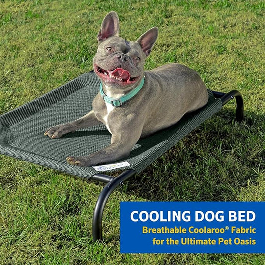 Coolaroo The Original Cooling Elevated Dog Bed, Indoor and Outdoor, Medium, Gunmetal - PAWPICO