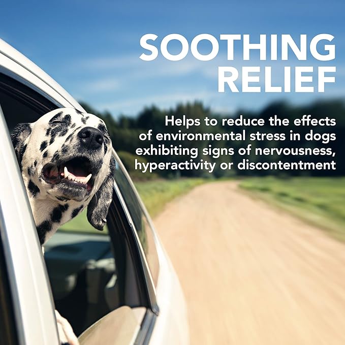 Vet's Best Comfort Calm Calming Soft Chews Dog Supplements | Dog Calming Aid Supports Dog Balances Behavior | Promotes Relaxation | 30 Day Supply VetsBest