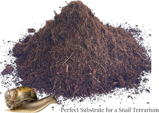 Snout and Shell Organic Coco Coir Peat Bedding Ready to Hydrate Use Substrate for Reptile or Amphibian Perfect for Frogs, Salamanders, Geckos and Snakes Increase Humidity 1.4 Lbs - 650 Grams SNOUTANDSHELL