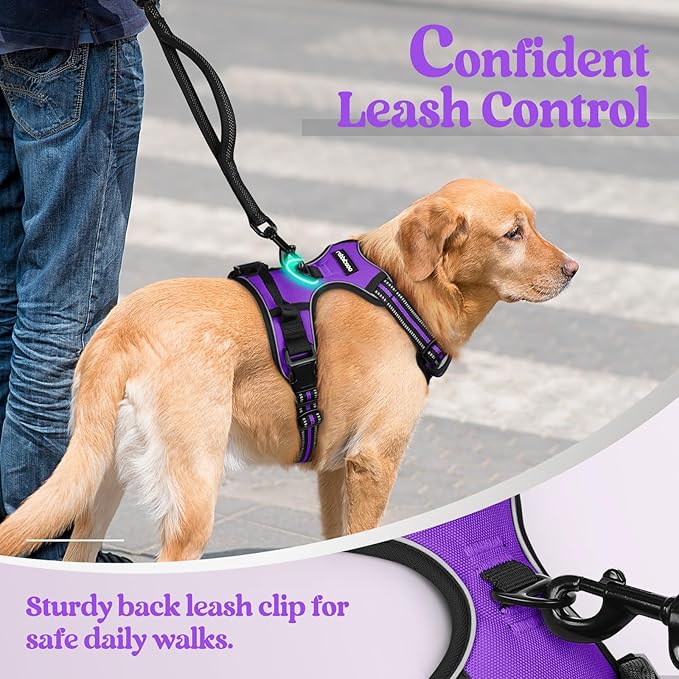rabbitgoo Dog Harness No Pull with 2 Leash Clips, Adjustable Soft Padded, Reflective Oxford No Choke Pet Vest with Easy Control Handle for Large Dogs, Purple, L rabbitgoo
