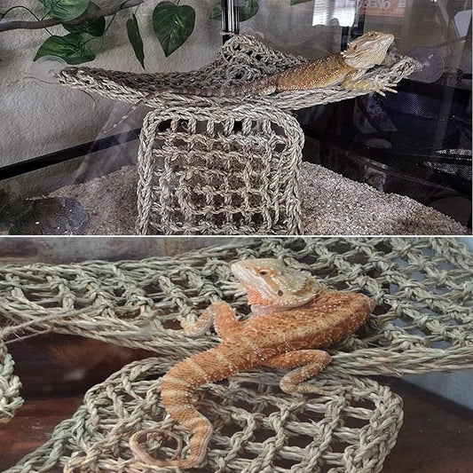 PINVNBY Bearded Dragon Hammock,Reptile Lizard Lounger Natural Seagrass Habitat Decoration Reptiles Tank Accessories Jungle Climber Vines Flexible Leaves Climbing Decor for Gecko Chameleon Snakes PINVNBY