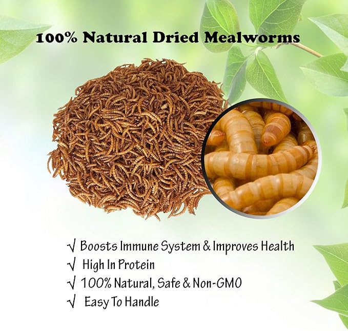 Amzey Dried Mealworms 11 LBS - 100% Natural for Chicken Feed, Bird Food, Fish Food, Turtle Food, Duck Food, Reptile Food, Non-GMO, No Preservatives, High Protein and Nutrition Amzey