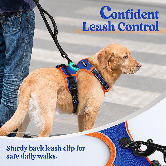 rabbitgoo Dog Harness No Pull with 2 Leash Clips, Adjustable Soft Padded, Reflective Oxford No Choke Pet Vest with Easy Control Handle for Large Dogs, Blue & Orange, L rabbitgoo