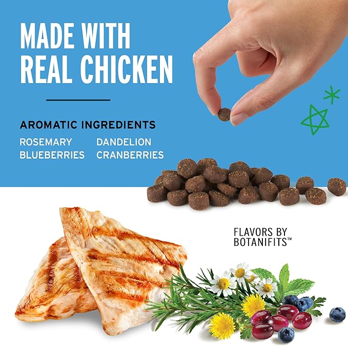Pet Botanics 4 oz. Pouch Training Rewards Mini Soft & Chewy, Chicken Flavor, with 200 Treats Per Bag, The Choice of Top Trainers (Pack of 2) - PAWPICO