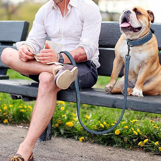 Didog Soft Padded Leather Dog Collar and Leash Set, Heavy Duty Dog Leash and Collar Set with Metal Buckle, Breathable Dog Collars with 4FT Leather Dog Leash for Small Medium Large Dogs, Blue, L Didog