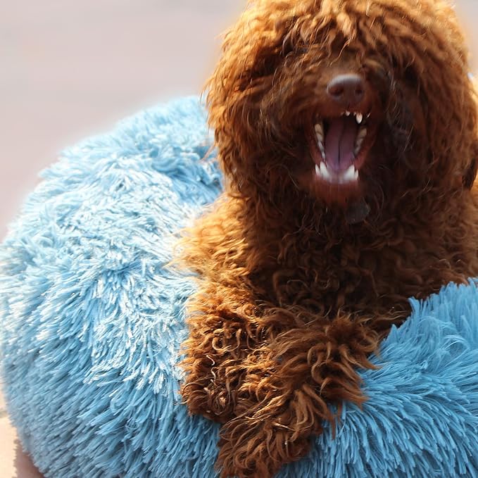 Small Dog Donut Bed for Small Dogs Machine Washable,Calming Donut Blue Dog Bed for Small Puppy with Anxiety,with Fluffy Soft and Comfy Faux Fur Cuddler Pet Bed for Small Pets - PAWPICO