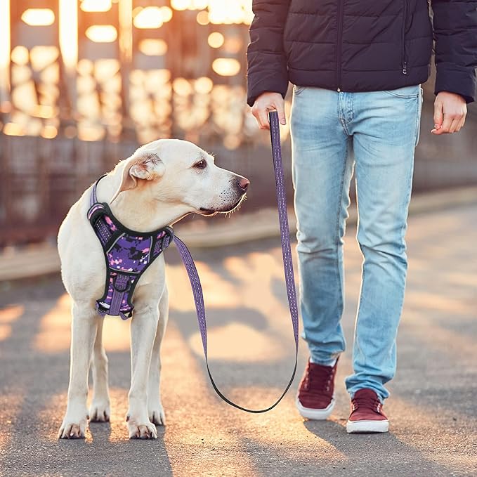 No Pull Dog Harness for Large Dogs, Adjustable No Choke Pet Vest with Dog Leash Fit Smart Reflective Pet Walking Harness for Training Easy Control Soft Handle Purple Camo L BUMBIN