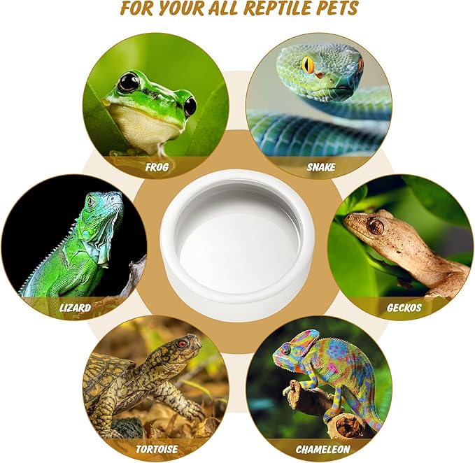 Reptile Food Bowl Dish - Worm Dish Reptile Water Bowl Lizard Gecko Ceramic Pet Bowls, Mealworms Dish for Bearded Dragon Chameleon Hermit Crab Dubia Cricket Dish Anti-Escape Mini Reptile Feeder XL(5in) HELIME
