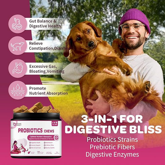 Probiotics for Dogs - Dog Probiotics and Digestive Enzymes for Digestive Health - Plus Fish Oil & Vitamins Supplement for Allergies & Immune & Itchy Skin, 120 Chicken Flavor Probiotic Soft Chews NATURETARGET