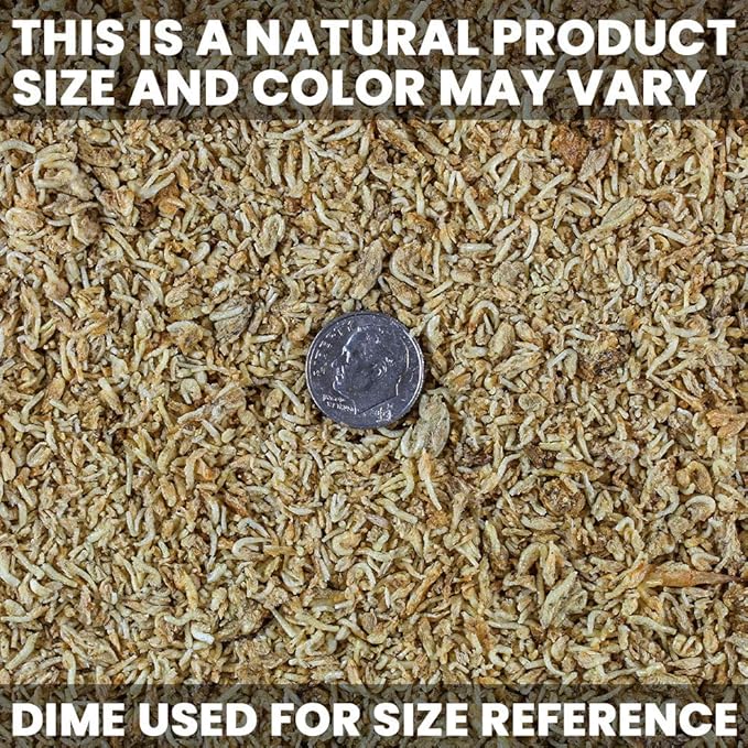 San Francisco Bay Brand Freeze-Dried Mysis Shrimp - Premium Fish Food, Tetra Fish Food, Tropical Fish Food - Ideal for Freshwater and Saltwater Fish, Cichlids, Angels, Seahorses - 0.49 oz (14g) SanFranciscoBayBrand