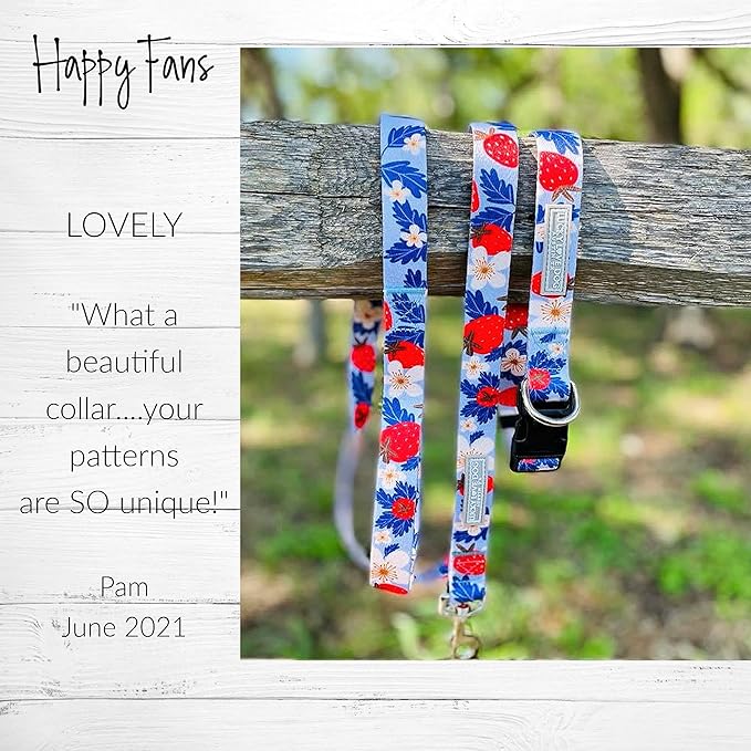 Lucky Love Dog Collars, Strawberry Cute Girl Dog Collar, Medium Dog Collars for Females, Part of Purchase Donated to Rescue (Medium, Sweet Berry, Collar) LuckyLoveDog