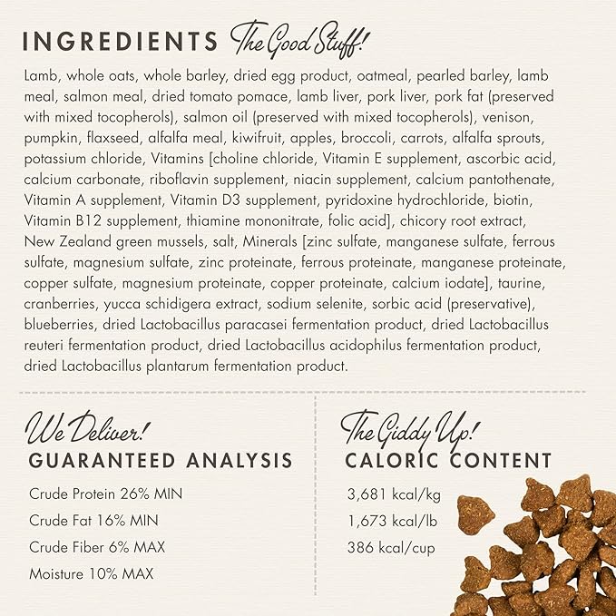 Fromm Four-Star Nutritionals Zealambder Dog Food - Premium Dry Dog Food - Lamb Recipe - 4 lb - PAWPICO