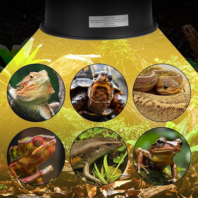 REPTI ZOO Reptile Light Fixture with Dimmable Switch,5.5 inch Deep Dome Lamp Fixture for Reptile Tank Terrarium,Optical Reflection Cover for UVB UVA Bulb Basking Heat Bulb REPTIZOO