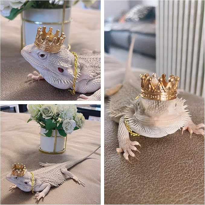 Lizard Crown Necklace Set Lizard Clothes Accessories Gold Alloy Neck Chain Crown Cool Costume Photo Props Party Reptile Chain Necklace Lizard Clothes for Bearded Dragons Leopard Gecko Iguana Amphibian HAICHENTEC