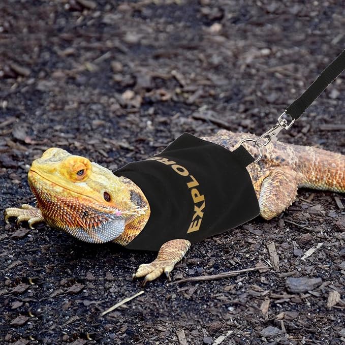 Hypeety Bearded Dragon Harness and Leash Set Adjustable Escape Proof Leash Outdoor Walking Training Leash and Harness for Bearded Dragon Lizard Reptiles Small Pets Black (Explorer) Hypeety