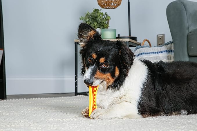 Hartz Chew 'n Clean Dental Duo Dog Treat & Chew Toy, Color Varies, Medium, 3 Pack - PAWPICO