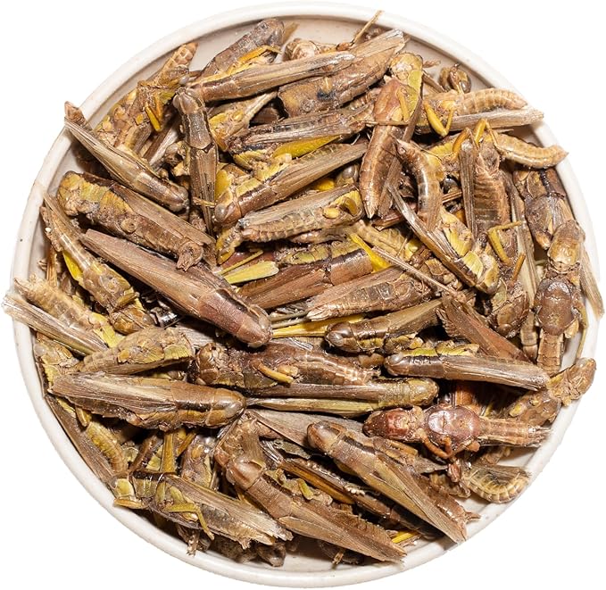 Freeze Dried Grasshoppers – 4.5 Oz High Protein Freeze Dried Grasshoppers Food for Reptiles, Bearded Dragons Lizards, Geckos, Birds, Hedgehogs Jadingfarm