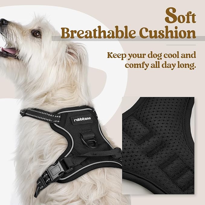 rabbitgoo Dog Harness No Pull with 2 Leash Clips, Adjustable Soft Padded, Reflective Oxford No Choke Pet Vest with Easy Control Handle for Puppy, Black, XS rabbitgoo