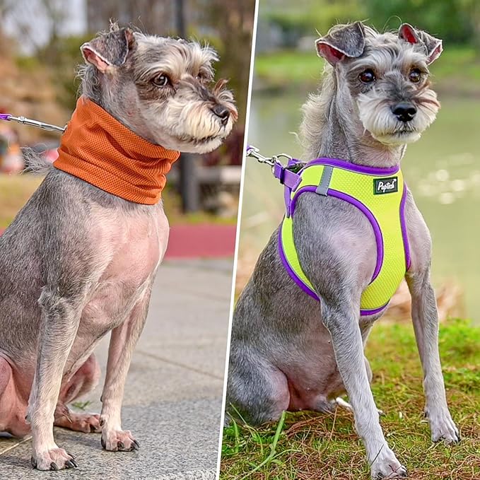 PUPTECK Adjustable Dog Harness Collar and Leash Set Step in No Pull Pet Harness for Small Medium Dogs Puppy and Cats Outdoor Walking Running, Soft Mesh Padded Reflective Vest Harnesses, GreenYellow S PUPTECK