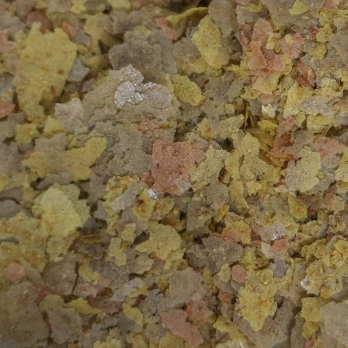 API TROPICAL GREENS FLAKES Tropical Fish Greens Flakes Fish Food 2.1-Ounce Container API