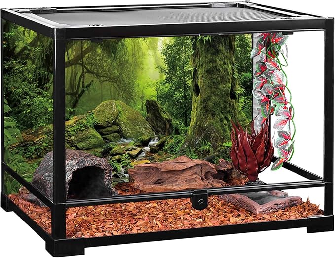 AWERT Tropical Forest Terrarium Background Stream Green Huge Tree Reptile Habitat Background Foggy Rainforest Aquarium Background 48x20 inches Durable Polyester Background HOME