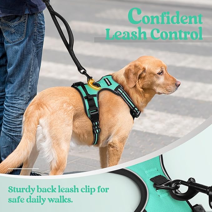 rabbitgoo Dog Harness No Pull with 2 Leash Clips, Adjustable Soft Padded, Reflective Oxford No Choke Pet Vest with Easy Control Handle for Large Dogs, Turquoise, L rabbitgoo