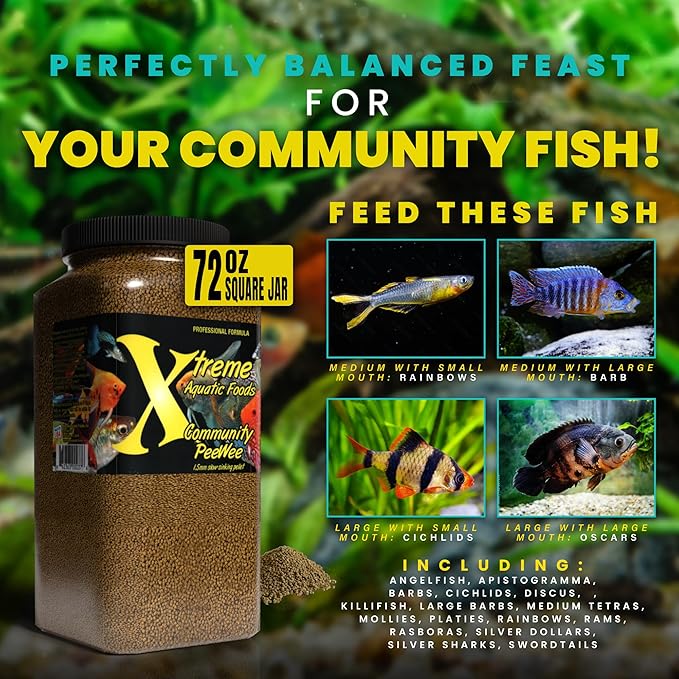 Xtreme Community Peewee 1.5mm Pellets: Slow Sinking & Ideal for Community Fish - Boosts Immune & Digestive Health, Enhances Color & Energy, Max Protein Fish Food – USA Farm Grown (72oz) XtremeAquaticFoods