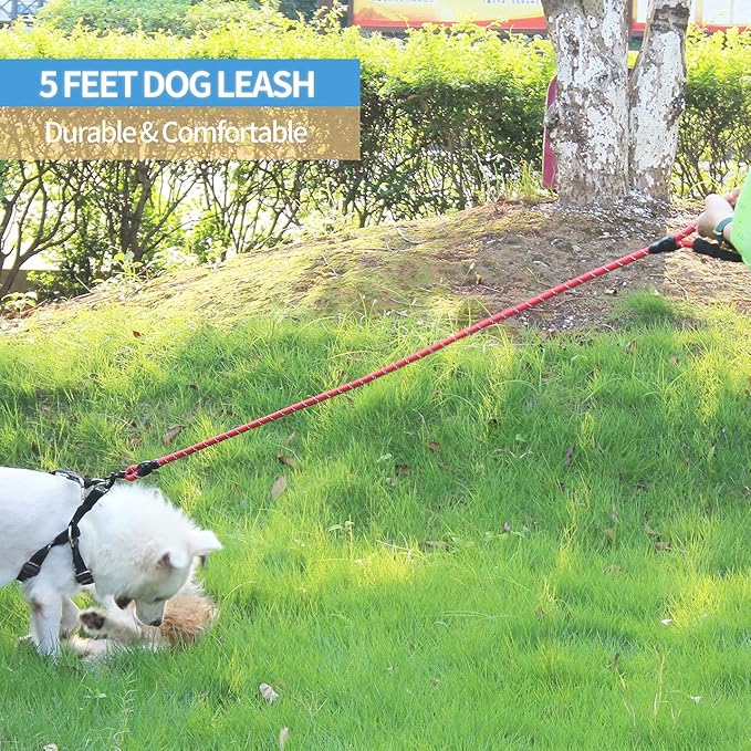 BAAPET 2/4/5/6 FT Dog Leash with Comfortable Padded Handle and Highly Reflective Threads for Small Medium and Large Dogs (5FT-1/2'', Red) - PAWPICO