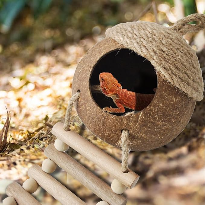 Lizard Coco Den with Ladder,Leopard Gecko Coconut Husk Hut Hideout Home Reptile Hammock Climbing Hanging Plants Decor Habitat Tank Accessories for Bearded Dragon Chameleon Snake Hermit Crab MUYG