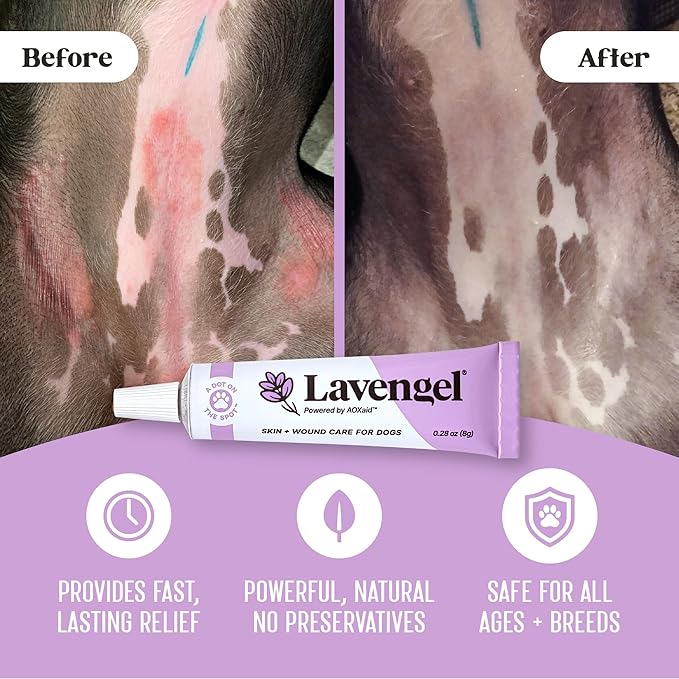 for Dogs - Reduces Skin Irritations and Itching - Effective Wound Care and Hot Spot Treatment Lavengel