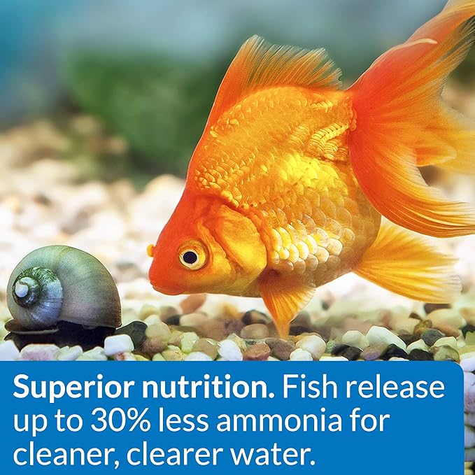 API GOLDFISH PELLETS Fish Food 4-Ounce Container, Medium, Model:833B API