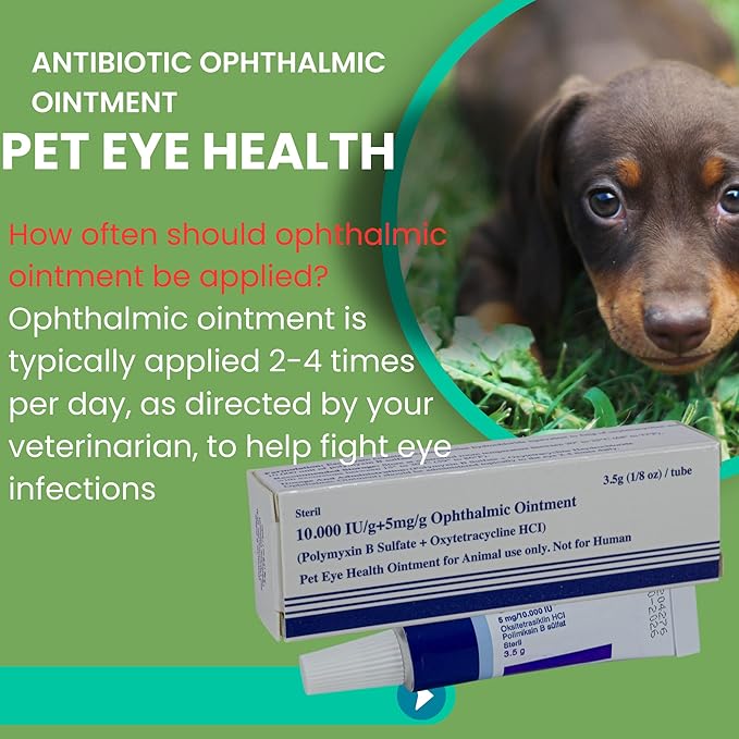 Pet Eye Health Ointment for Dogs, Cats, Cattle, Sheep, Horses, Birds and Puppies, Kittens 1/8 oz /3.5gr - 1 Tube PAWPICO