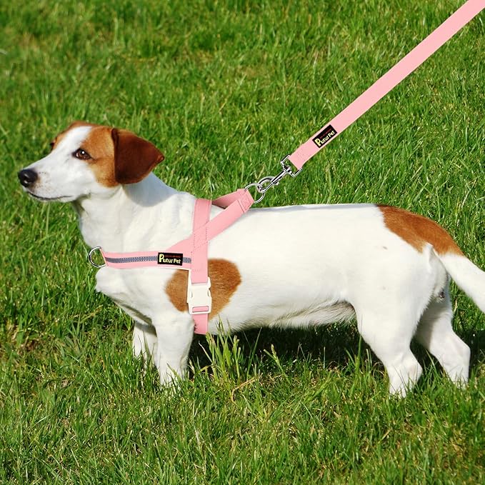 Plutus Pet Cotton Dog Harness and Leash Set, Reflective and Soft Padded, Quick Fit Vest Harness, for Small, Medium and Large Dogs, Pink, M - PAWPICO
